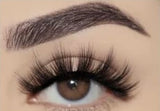 Sassy Lashes