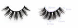 Sassy Lashes