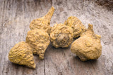 Libido Boost Maca Root Supplements